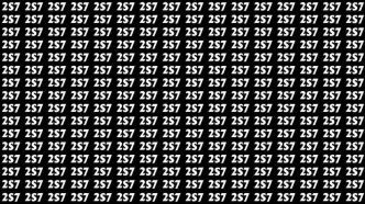 Illusion d'optique : seuls les plus brillants arrivent à repérer le nombre 257