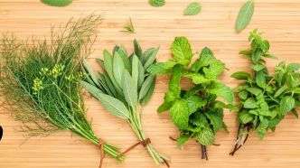 LIDL a trouvé les contenants parfaits pour préserver les herbes aromatiques au frigo