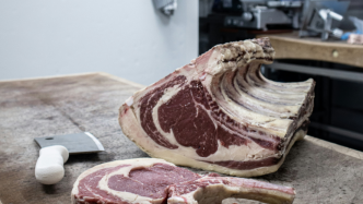 Mort d'Élise, 12 ans, après une intoxication alimentaire : la bactérie E. Coli responsable du drame et des contaminations de 17 enfants