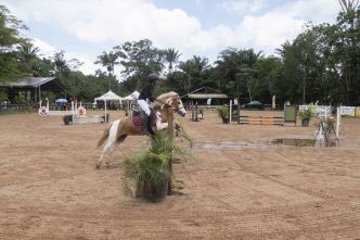 Grand Caraïbes Poney : une deuxième édition pour relancer l'équitation guyanaise