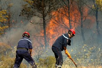 Feux déclenchés dans 7 wilayas : la Protection civile sur le qui-vive en ce début d'été