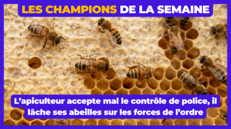Top 10 des faits divers les plus débiles, les champions de la semaine #535