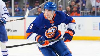 Dobson dans la mire des Red Wings