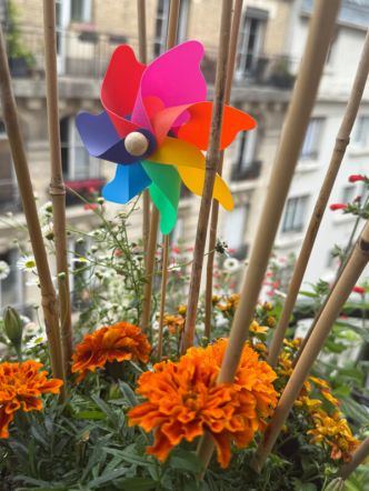 Installation de petits moulins à vent sur mon balcon parisien