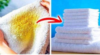 Sans Javel Ni Bicarbonate, Voici l'Astuce Naturelle pour Blanchir les Torchons et Serviettes Jaunis.
