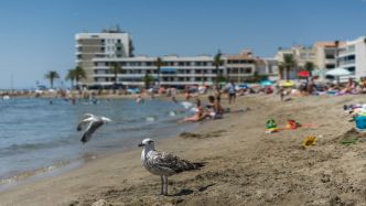 Drame au Grau-du-Roi : une femme fait un malaise pendant une marche dynamique, se noie, est ramenée sur la plage et meurt