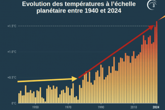 De quelle manière le réchauffement climatique impacte la Nouvelle-Calédonie