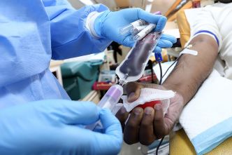 Santé : pourquoi il est important de connaître son groupe sanguin