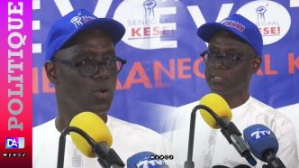 Retard dans la délivrance des semences d'arachide : Thierno Alassane Sall appelle à des mesures correctives
