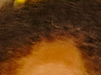 Santé : trop de cheveux exposent-ils un nourrisson aux maladies ?