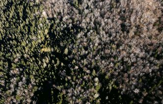 Il faut cesser de sacrifier la nature au profit de l'industrie
