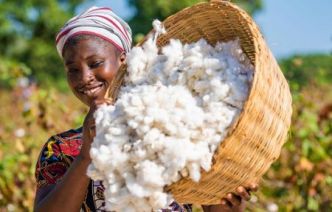 Côte d'Ivoire-Burkina Faso : l'autre duel dans le coton en Afrique de l'Ouest