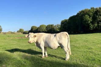 Météo. Quel temps pour ce mardi 24 juin dans les Hauts-de-France ?