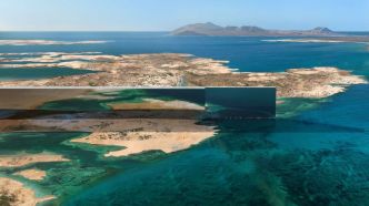 Ville futuriste en plein désert : pourquoi l'Arabie saoudite "débranche" EDF du projet Neom