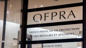 Profils des demandeurs d'asile en France : âge, sexe, nationalité... Les chiffres clés en infographie