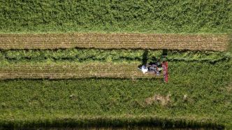 Rendement, climat... Un essai suisse de référence confirme l'efficacité de l'agriculture biologique