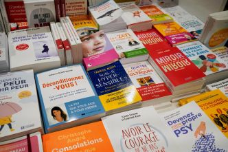 Santé mentale : quand manuels douteux et livres sérieux se côtoient en librairie... les médecins alertent