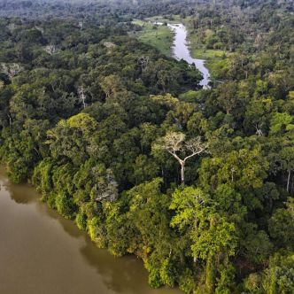 Congo : un appel pour une régulation des activités forestières et minières
