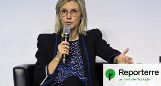 Quand Agnès Pannier-Runacher soutenait les néonicotinoïdes