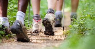 Brûlures graves, allergies : attention, cette plante qui fleurit partout en France est dangereuse, voici comment la reconnaître