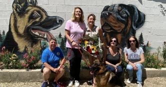 Messigny-et-Vantoux. Des chiens et chats de la SPA ont trouvé une nouvelle famille à aimer