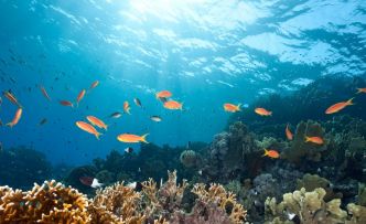 Comores: L'économie bleue peut ouvrir la voie à une croissance plus inclusive et durable