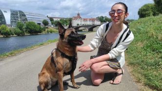 Coups de chaleur pour les chiens : les conseils d'une vétérinaire de Franche-Comté
