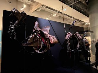 « Des chevaux et des hommes », au musée de la Grande Guerre