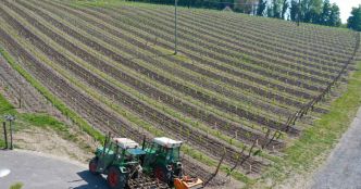 Les vignobles prennent racine en Normandie