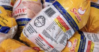 Retour du poulet brésilien : L'Algérie relance les importations
