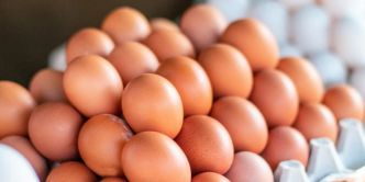 L'Algérie autorise l'exportation des œufs pour soutenir les producteurs