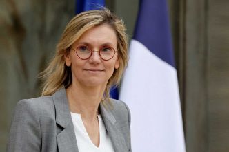 Chasse : Malgré les alertes Pannier-Runacher maintient la pression sur 9 espèces menacées par un moratoire