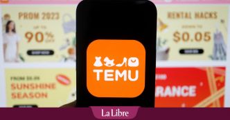 Temu et AliExpress épinglés par la Corée du Sud pour leur vente de produits pouvant "nuire à la croissance et à la santé des enfants"