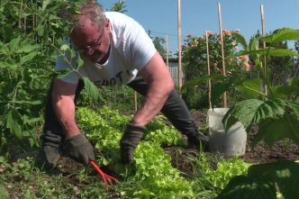 INFO FRANCE 3 : Pollués aux PFAS, Arkema ferme définitivement ses jardins ouvriers