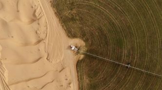 L'Algérie veut multiplier par 10 les surfaces agricoles dans le Sahara