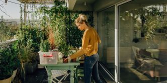 Jardinage urbain: Comment protéger vos plantes de la chaleur et des fortes pluies