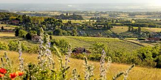 Vins du Beaujolais : notre sélection de l'été 2025