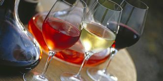 Du XXe siècle à nos jours : quand le vin change dans la continuité