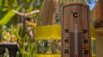 Saint-Cyr-sur-Mer sous la canicule : conseils par âge pour traverser la chaleur