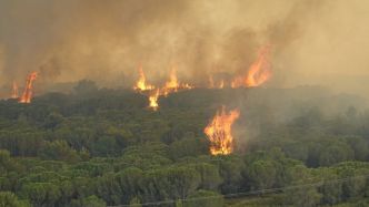 Deux importants incendies sont en cours dans l'Aude près de l'A61