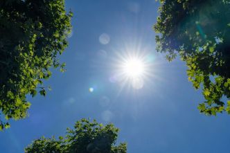 Météo. Après un tour de chauffe ce week-end, jusqu'à 38° attendus dans l'intérieur des terres lundi en Bretagne