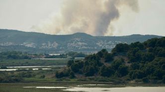 Aude : important incendie en cours près de Narbonne, un camping évacué et l'autoroute A61 fermée