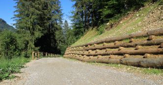 Ingénierie et génie écologique : le ministère de la Transition écologique lance une feuille de route pour 2030