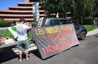 Loi Duplomb: des milliers d'opposants au texte mobilisés ce weekend en France