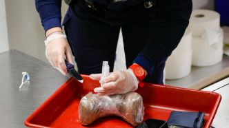 Trafic de drogue entre Cayenne et Paris : 24 kg de cocaïne, 100 000 euros saisis et six suspects écroués