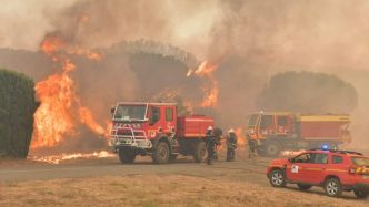 VIDÉO Incendies dans l'Aude : cette raison ahurissante qui est à l'origine des feux dévastateurs