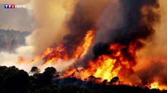 États-Unis : au moins deux pompiers tués dans une embuscade dans l'Idaho, le tireur retrouvé mort | TF1 INFO
