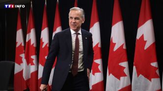 Le Canada annule une taxe visant les géants de la tech, reprise des négociations commerciales avec Washington | TF1 INFO
