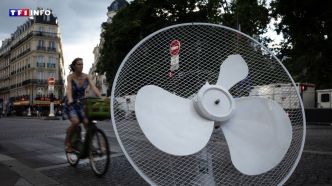 Canicule : 84 départements en vigilance orange, "du jamais-vu" en France | TF1 INFO