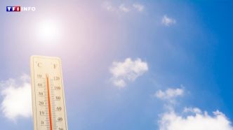 L'alerte canicule s'étend : où va-t-il faire le plus chaud ce lundi ? | TF1 INFO